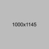 shutterstock_103792316